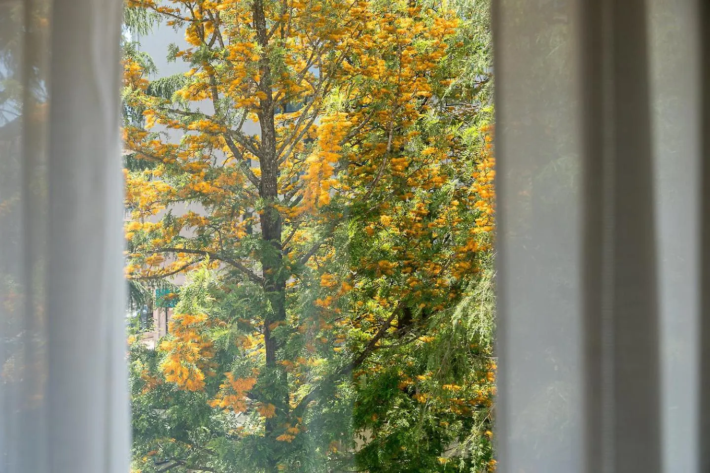 Guestready - Charming Stay In Coimbra